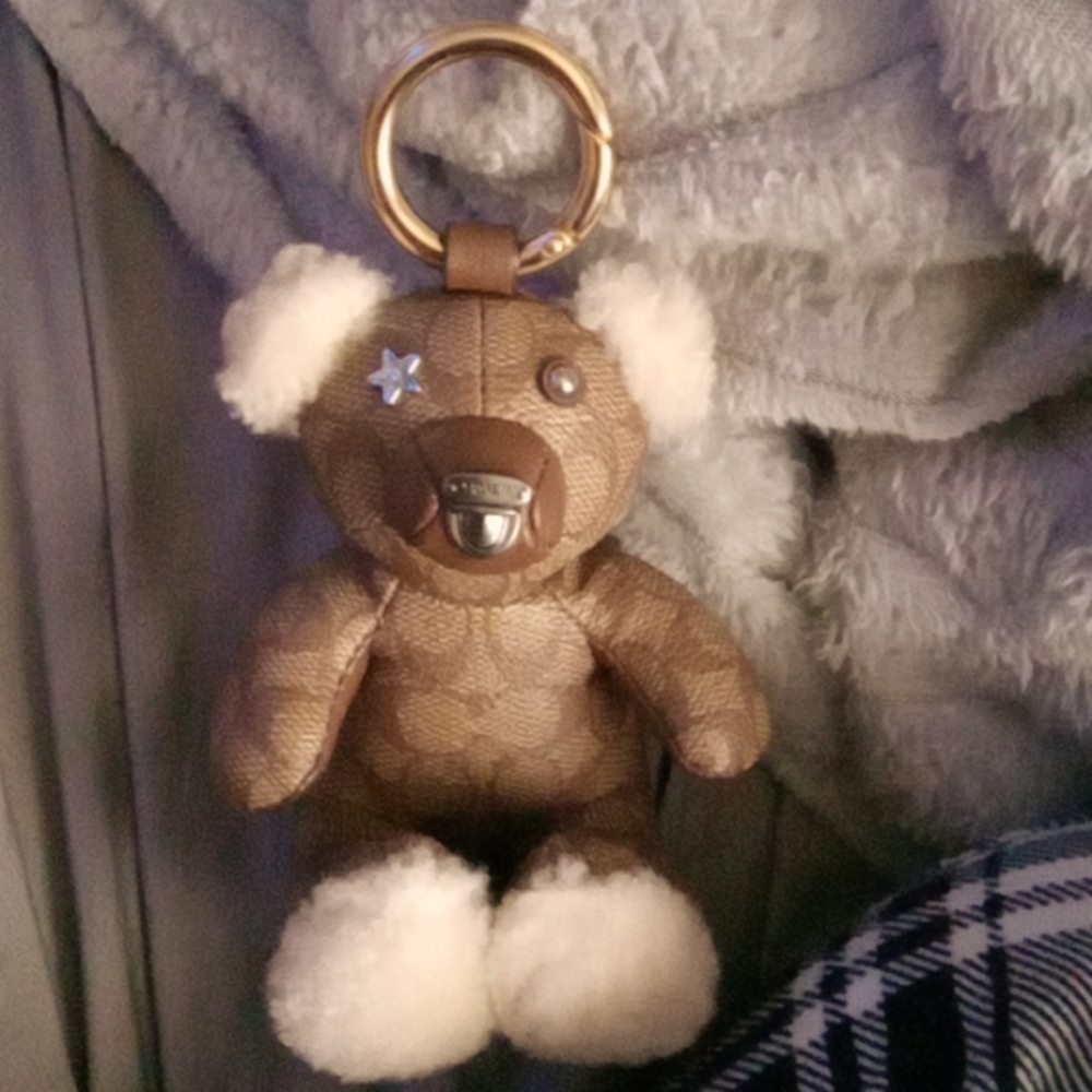 Teddy bear